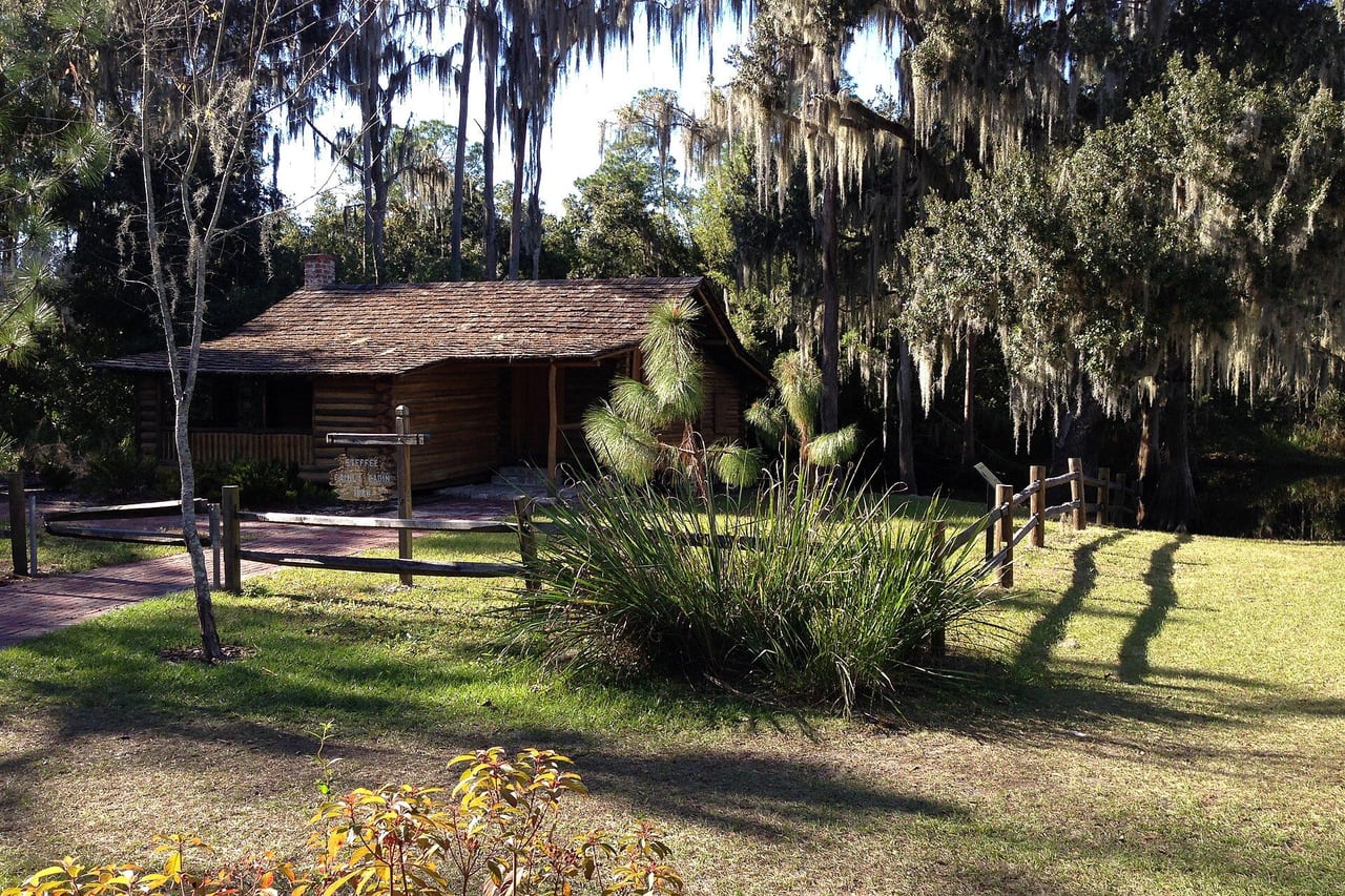 Cabana rústica de madeira num gramado cercado de carvalhos com barba-de-velho e palmeiras